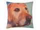 Povlak na polštář s motivem labradora Psi - 43*43 cm Clayre & Eef