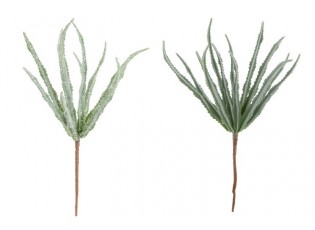 Dekorace 2ks květina Haworthia - 28 cm