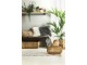 2ks přírodní ratanové koše Patan - Ø 50*22 cm / Ø 70*32 cm Light & Living