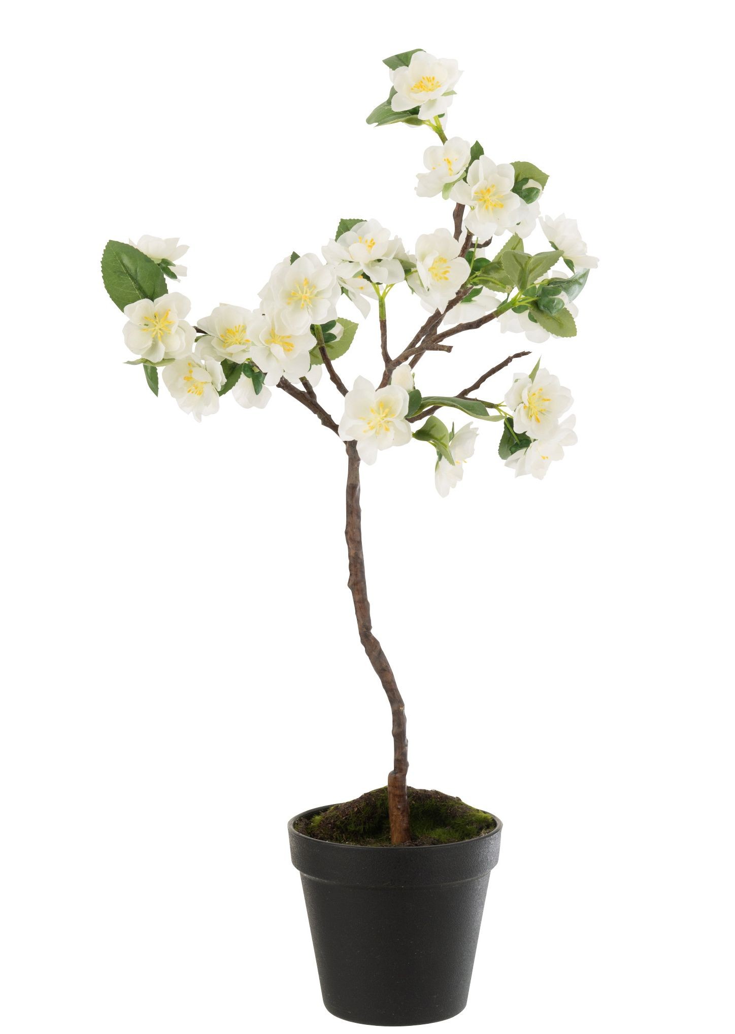 Dekorace umělý bílý kvetoucí stromek - 24-24*52 cm