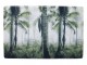 Podlahová rohožka Jungle v mlze - 75*50*1cm Mars & More 