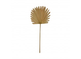 Hnědý usušený kulatý dekorativní list Palmy - 70 cm