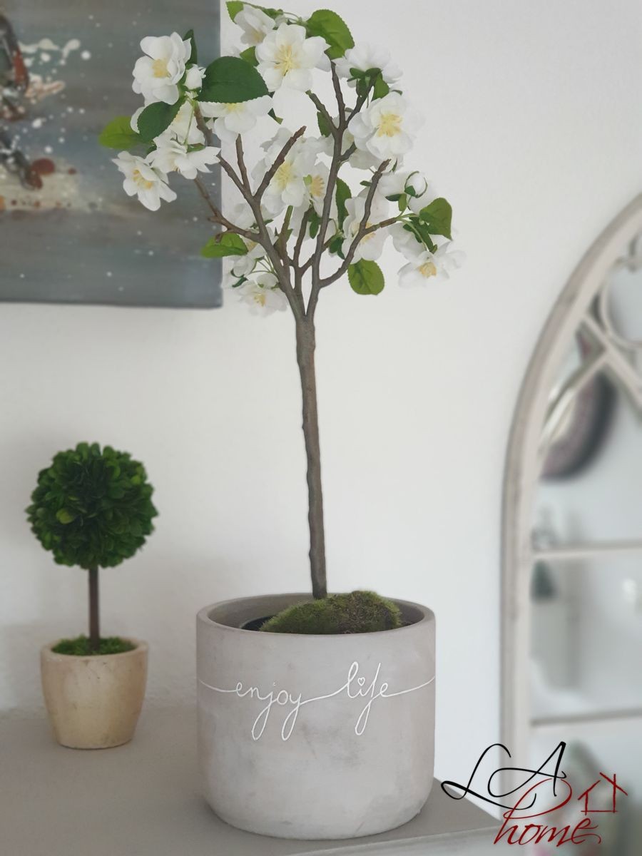 Buxus na kmínku v květináči - Ø10*24 cm J-Line by Jolipa Buxus na kmínku v květináči - Ø10*24 cm J-Line by Jolipa