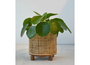 Kulatý bambusový květináč na nožičkách Bamboo - Ø14*16 cm