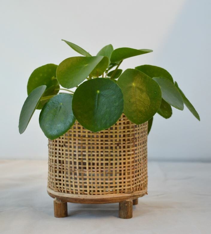 Kulatý bambusový květináč na nožičkách Bamboo - Ø14*16 cm Van der Leeden Kulatý bambusový květináč na nožičkách Bamboo - Ø14*16 cm Van der Leeden
