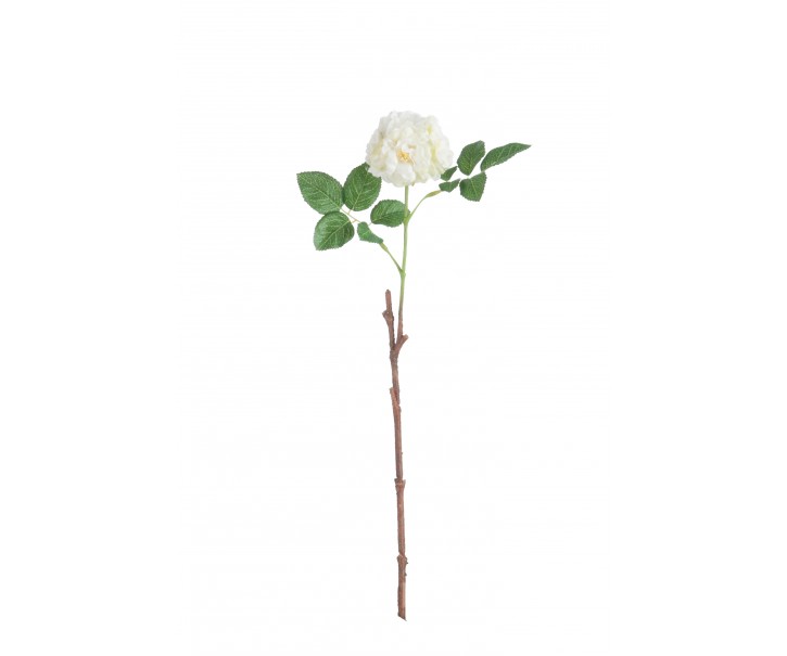 Umělá dekorativní květina Planá růže bílá - 15*7*45 cm J-Line by Jolipa