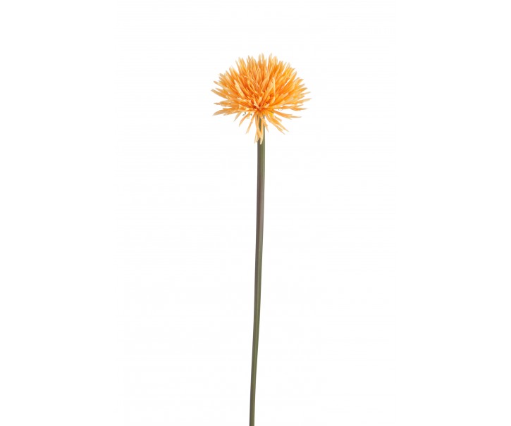 Umělá dekorativní květina Pampeliška - 10*10*68 cm J-Line by Jolipa