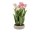 Růžová dekorační kytička Tulipány v květníku - 30*31*48cm J-Line by Jolipa