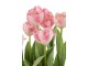 Růžová dekorační kytička Tulipány v květníku - 30*31*48cm J-Line by Jolipa