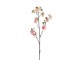 Větvička s růžovými květy Blossom - 22*5*82 cm J-Line by Jolipa