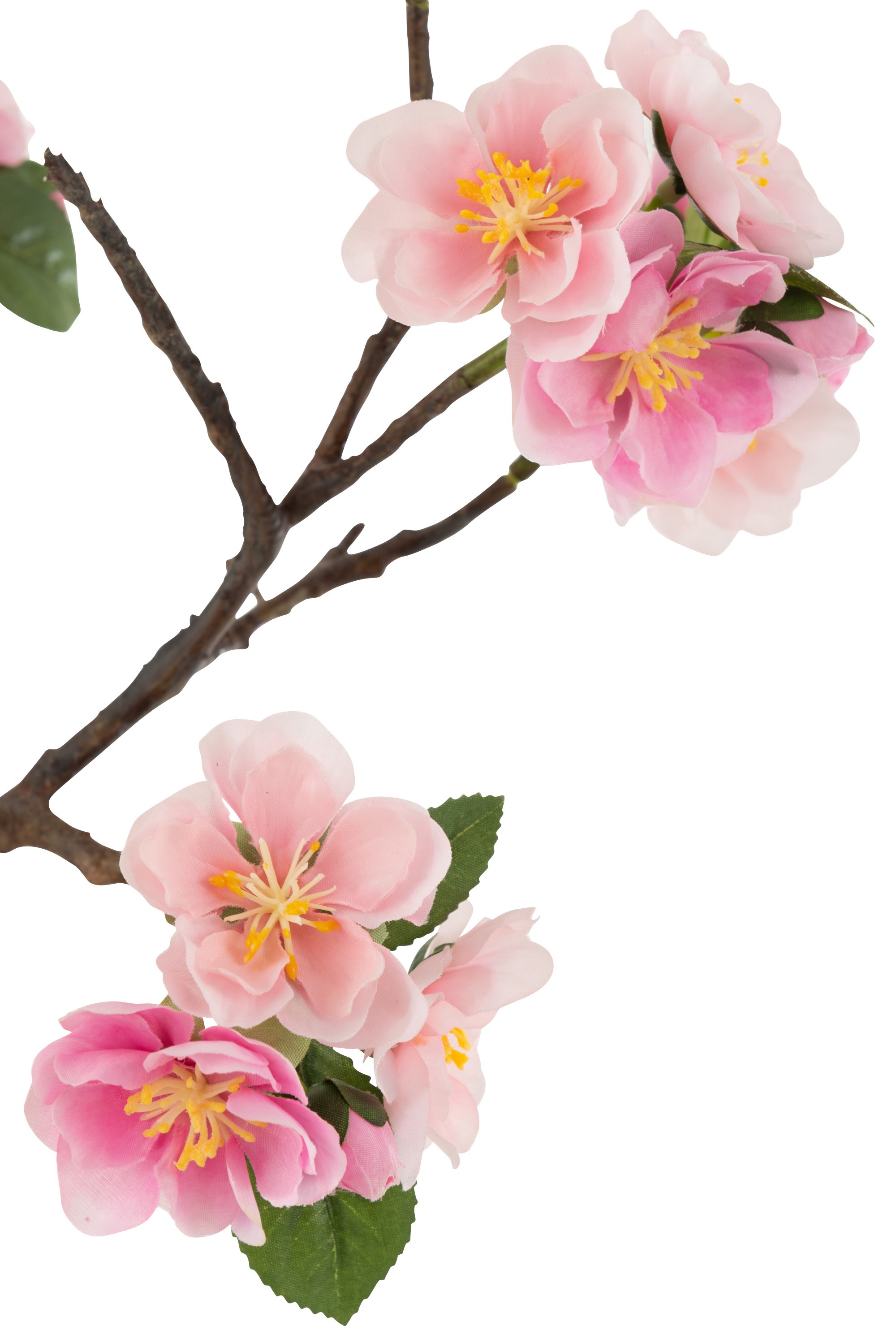 Dekorace umělý růžový kvetoucí stromek Blossom - 20*20*50 cm J-Line by Jolipa Dekorace umělý růžový kvetoucí stromek Blossom - 20*20*50 cm J-Line by Jolipa