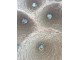 Přírodní závěsné stínidlo z mořské trávy s třásněmi - Ø 60*48cm Mars & More 