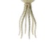 Zlatá kovová patice Octopus - Ø 13*26 cm Light & Living