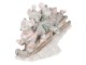 Vánoční dekorativní soška myšek na saních - 15*5*11 cm Clayre & Eef