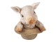 Dekorativní soška prasátka v klobouku - 13*12*14 cm Clayre & Eef
