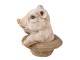 Dekorativní soška prasátka v klobouku - 13*12*14 cm Clayre & Eef