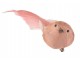 Růžový peříčkový ptáček s klipem - 5*16,5*5 cm J-Line by Jolipa