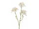 Dekorační umělá větvička s krémovými květy Blossom - 25 cm J-Line by Jolipa