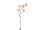 Větvička s béžovými květy Tweedia - 7*10*51 cm J-Line by Jolipa