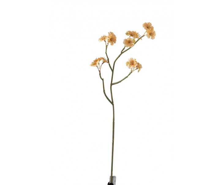Větvička s béžovými květy Tweedia - 7*10*51 cm J-Line by Jolipa