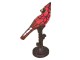 Stolní lampa Tiffany Red Parrot - 15*12*33 cm E14/max 1*25W Clayre & Eef