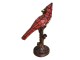 Stolní lampa Tiffany Red Parrot - 15*12*33 cm E14/max 1*25W Clayre & Eef